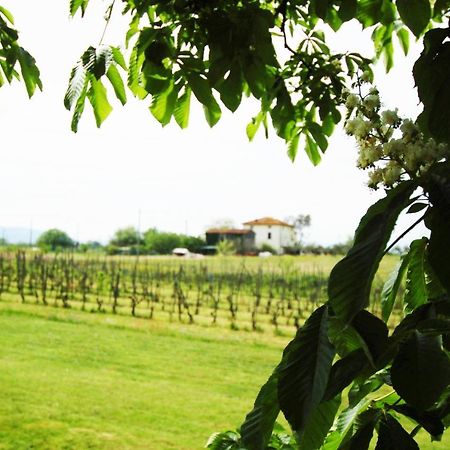 Bed and Breakfast La Ginestra Orentano Exterior foto