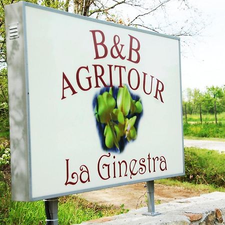 Bed and Breakfast La Ginestra Orentano Exterior foto