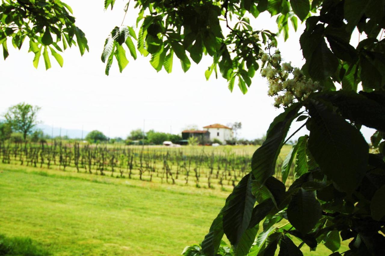 Bed and Breakfast La Ginestra Orentano Exterior foto